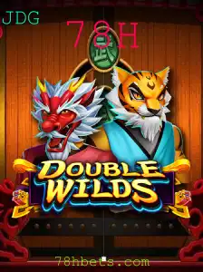 Explorando DoubleWilds: Um Mergulho nas Regras e Funcionalidades do Jogo